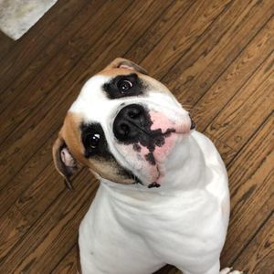 Meet your Posher, Kylee